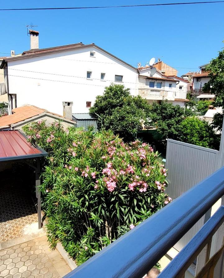 Apartmani Sojka Rovinj Zewnętrze zdjęcie